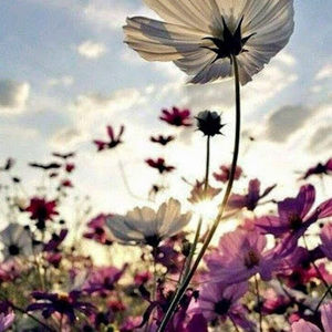 Meet your Posher, Soukaina